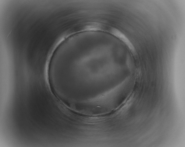 X0000102301427200808081535