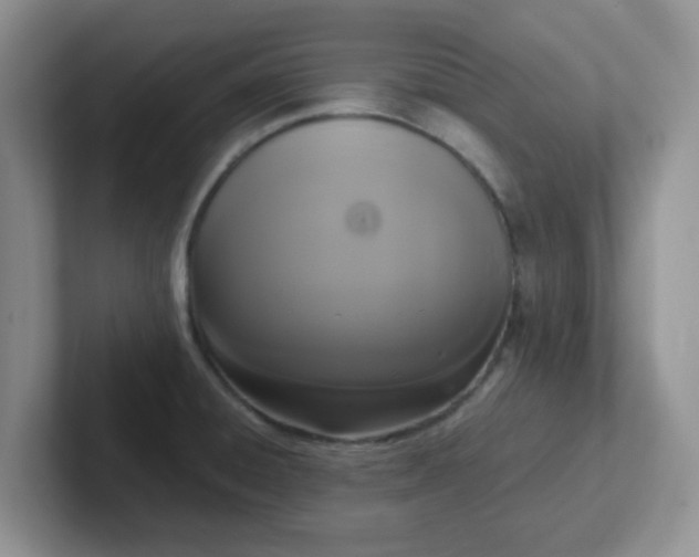 X0000102301428200808081535