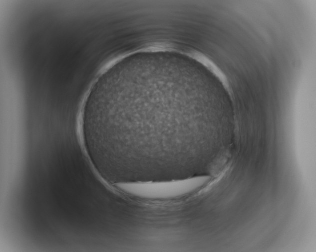 X0000102301429200808081535