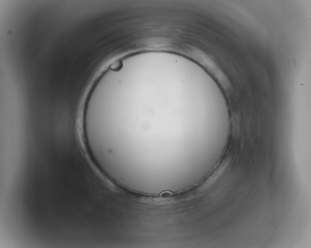 X0000102301432200808081535