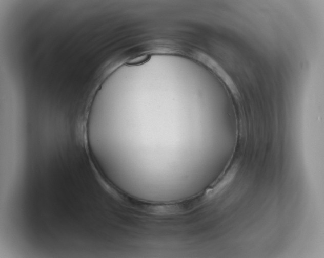 X0000102301433200808081535