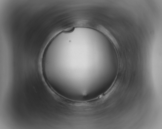 X0000102301434200808081535