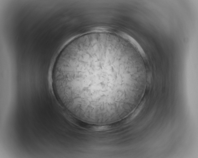 X0000102301435200808081535