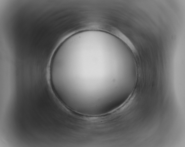 X0000102301436200808081535