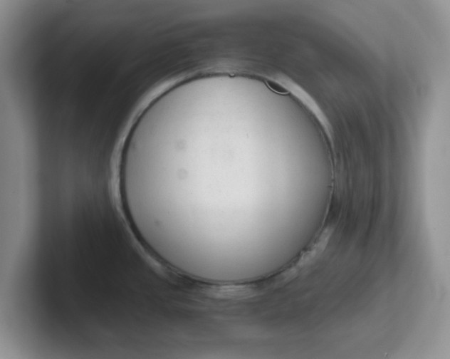 X0000102301437200808081535