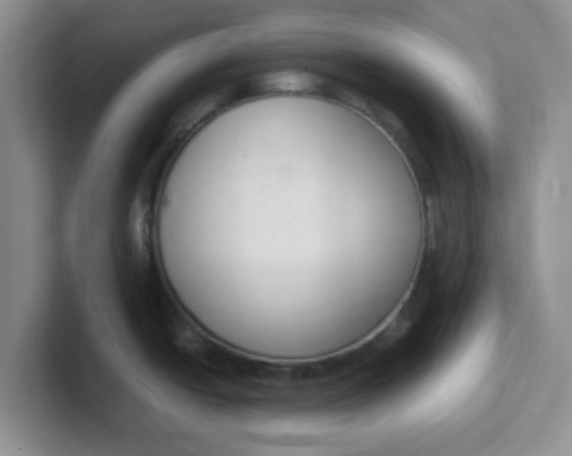 X0000102301438200808081535