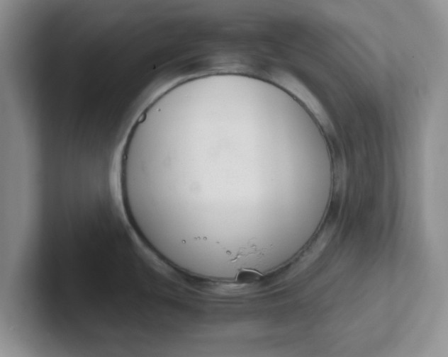 X0000102301439200808081535