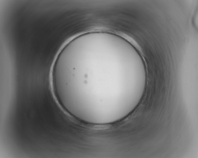 X0000102301440200808081535