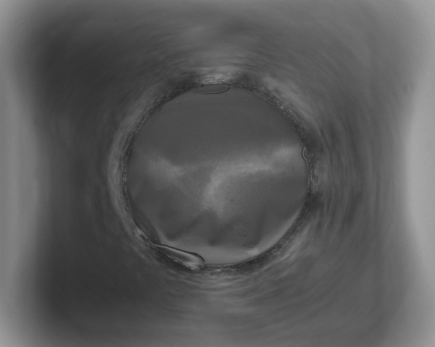 X0000102301441200808081534