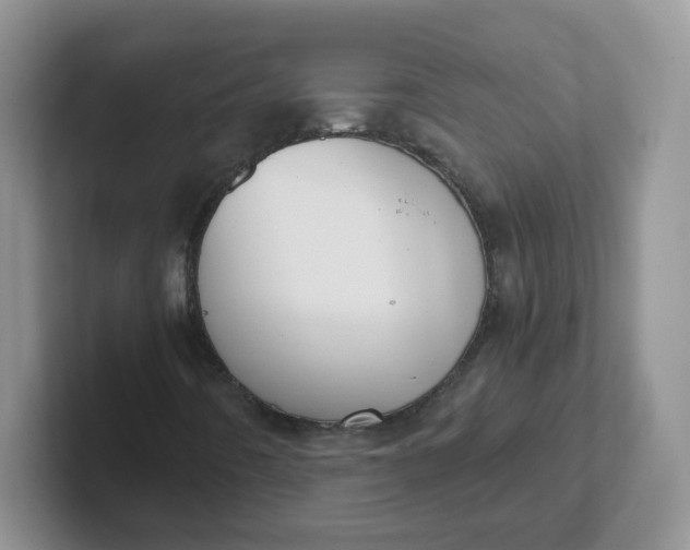 X0000102301442200808081534