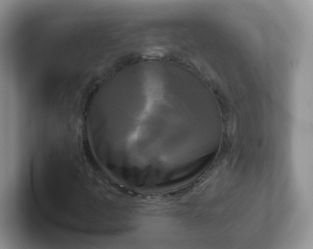 X0000102301445200808081534