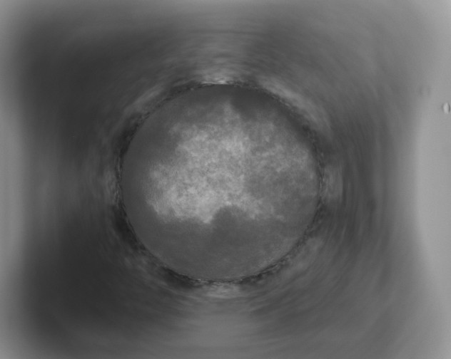 X0000102301446200808081534