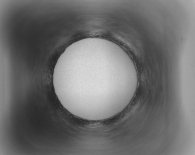 X0000102301447200808081534