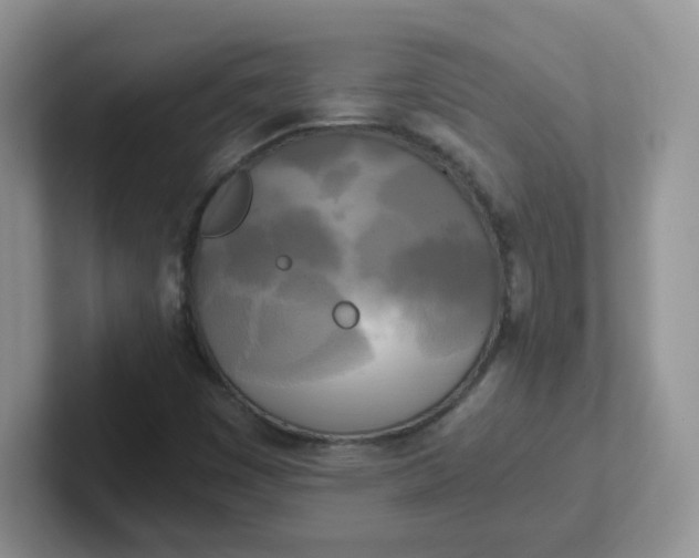 X0000102301449200808081534