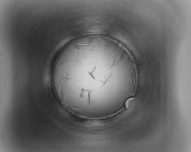 X0000102301450200808081534