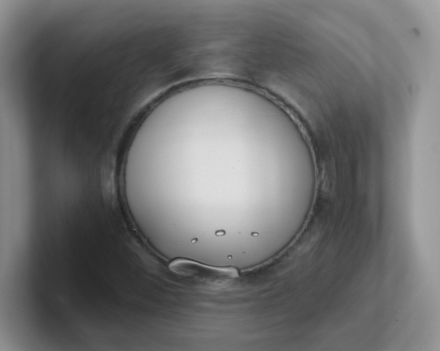 X0000102301452200808081534