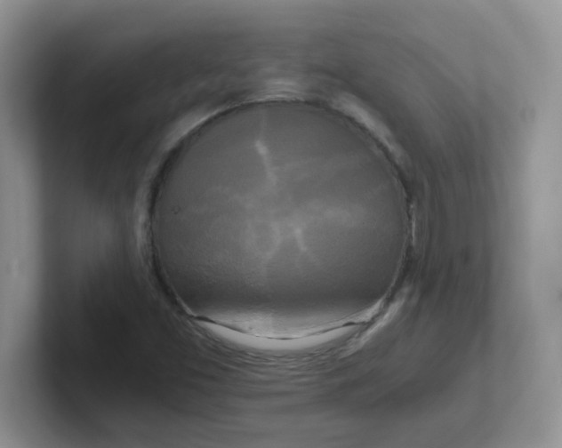 X0000102301453200808081534