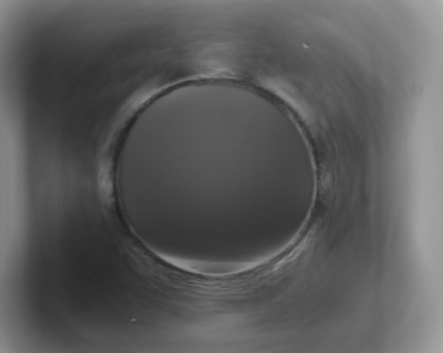 X0000102301455200808081534