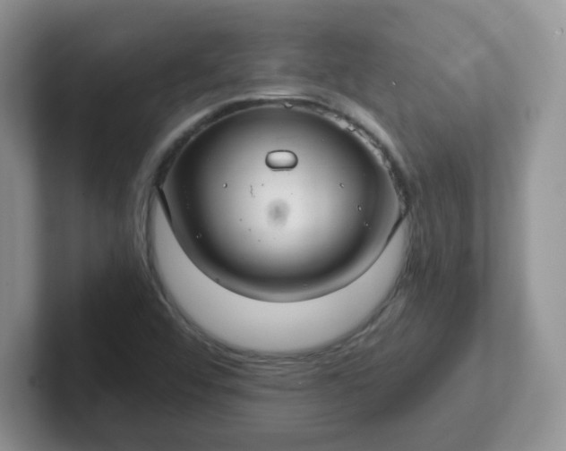 X0000102301456200808081534