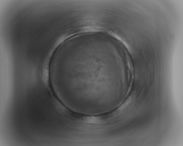 X0000102301459200808081534