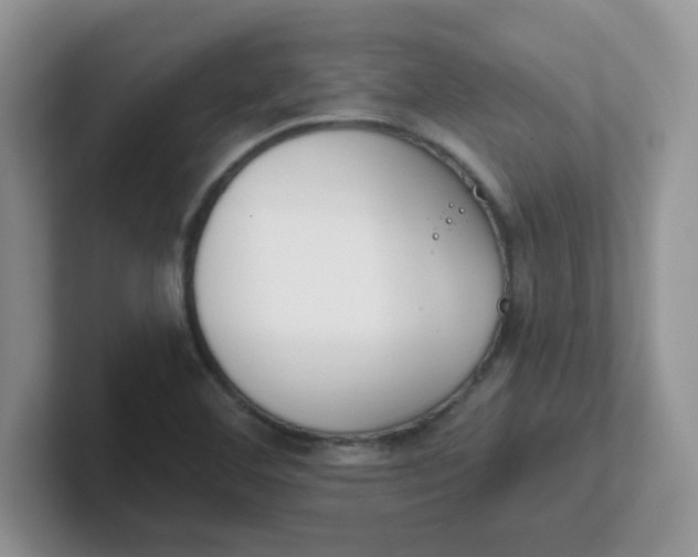 X0000102301460200808081534