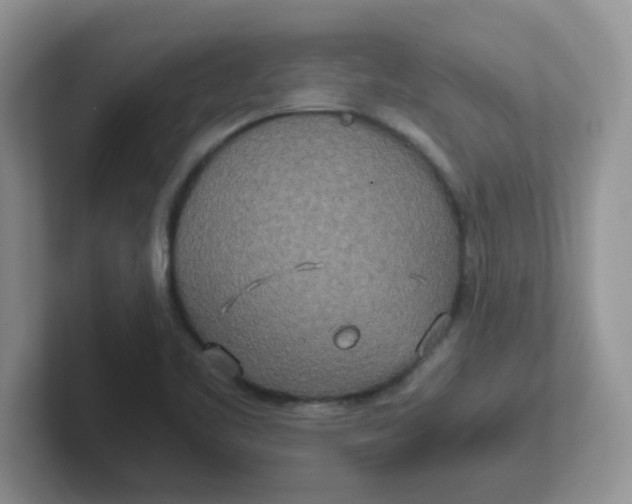 X0000102301461200808081534