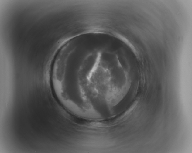 X0000102301463200808081534