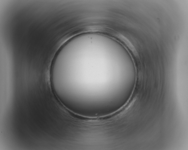 X0000102301465200808081534