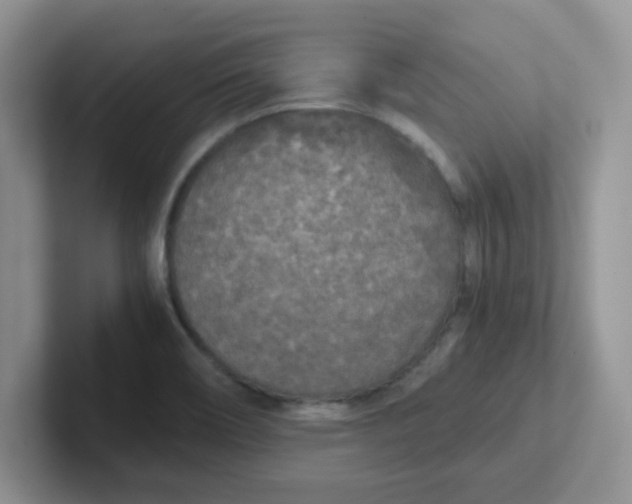 X0000102301466200808081534