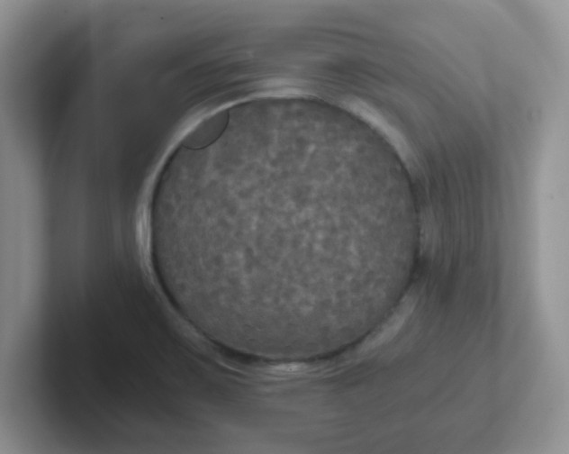 X0000102301467200808081534