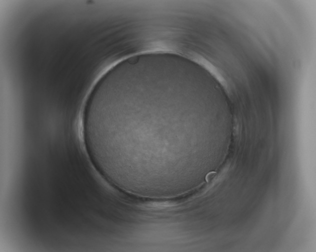 X0000102301468200808081534