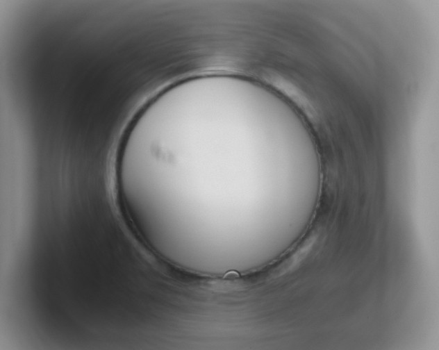 X0000102301469200808081534