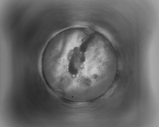 X0000102301471200808081534