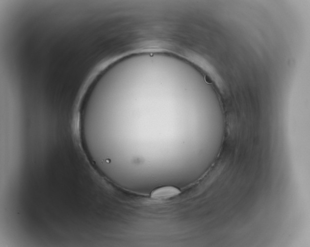 X0000102301472200808081534