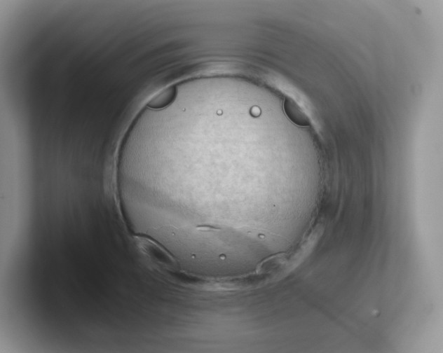 X0000102301473200808081534