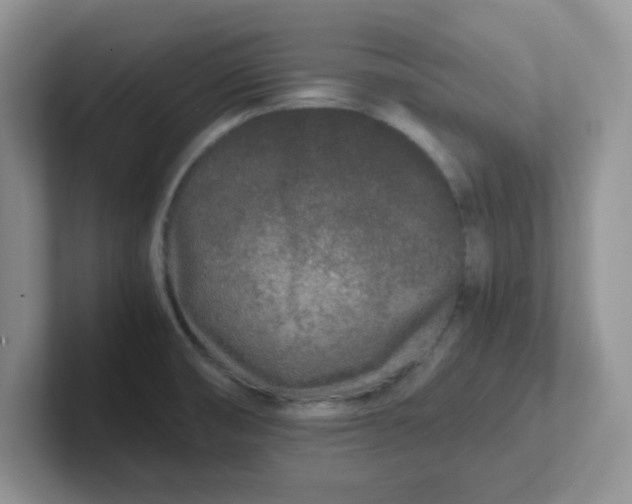 X0000102301474200808081534