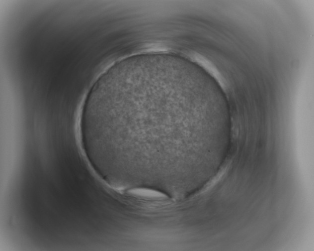 X0000102301475200808081534