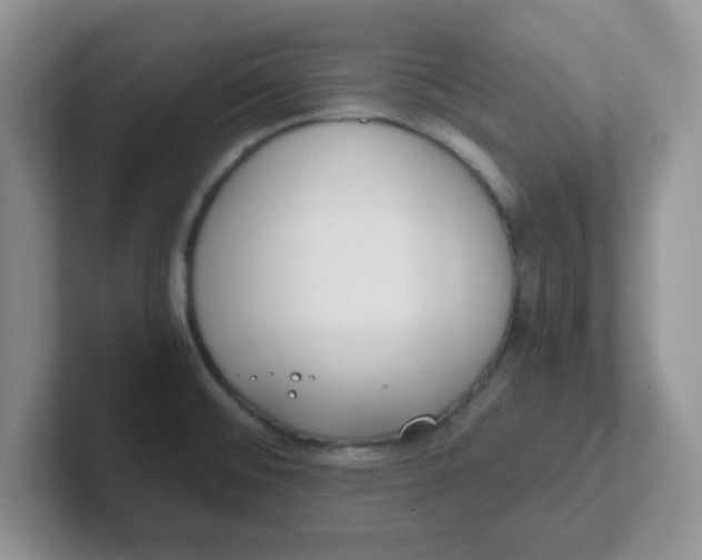 X0000102301476200808081534