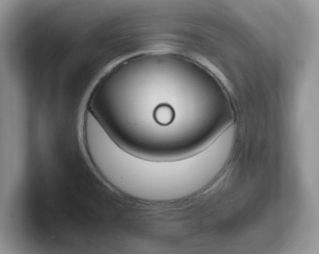 X0000102301477200808081534