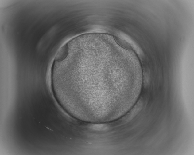 X0000102301479200808081534