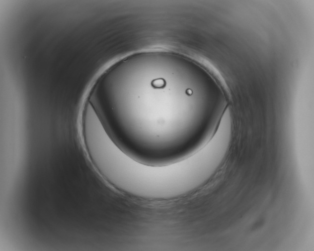 X0000102301480200808081534