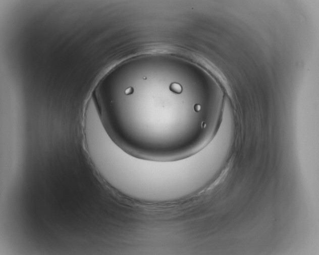 X0000102301481200808081534