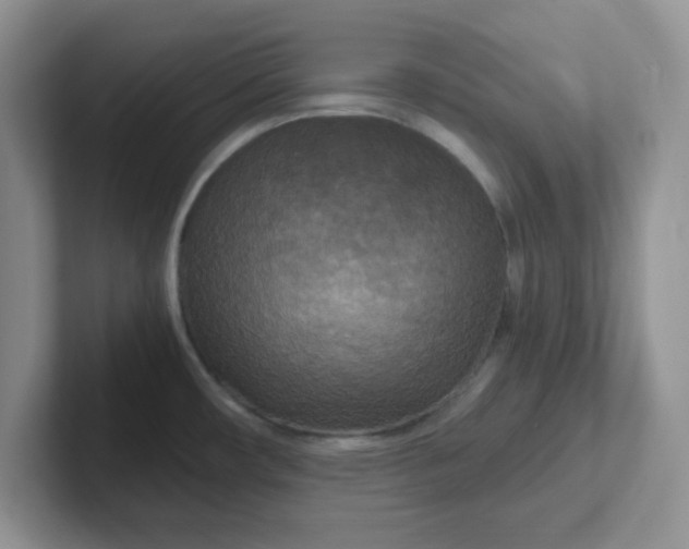 X0000102301482200808081534