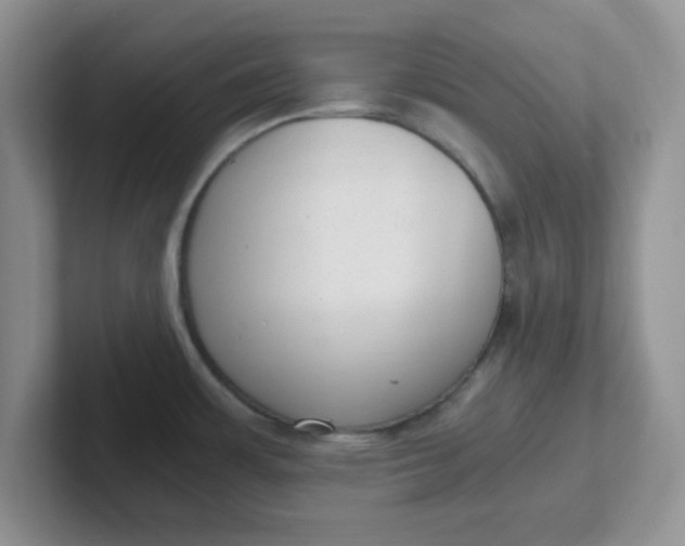 X0000102301483200808081534