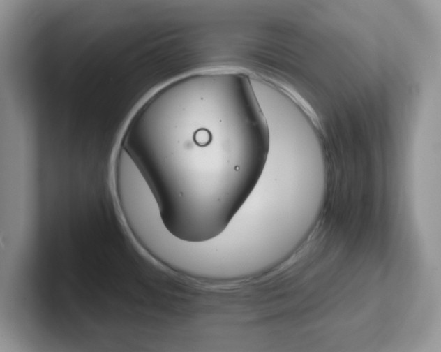 X0000102301484200808081534