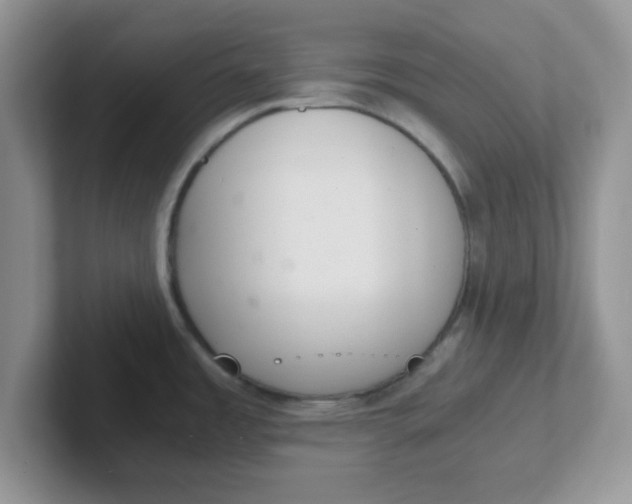 X0000102301485200808081534