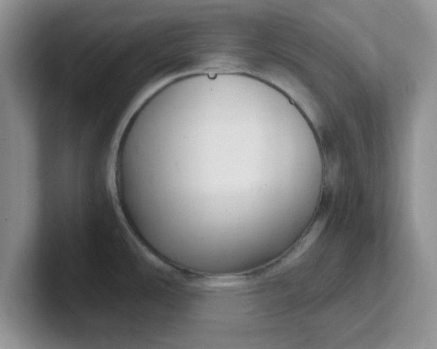 X0000102301486200808081534