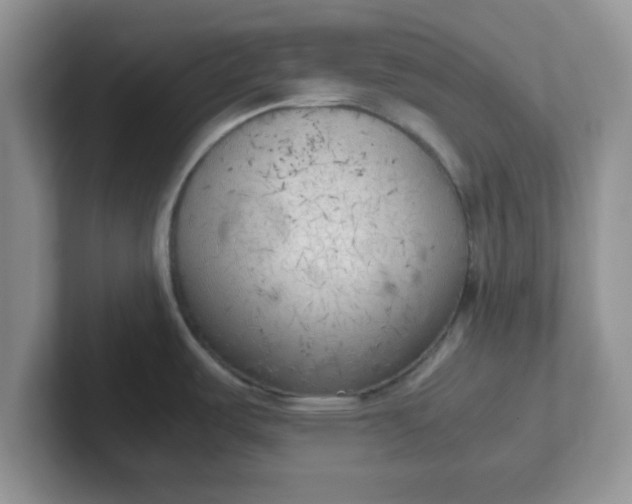 X0000102301487200808081534