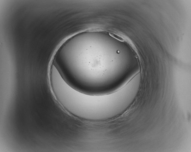 X0000102301488200808081533