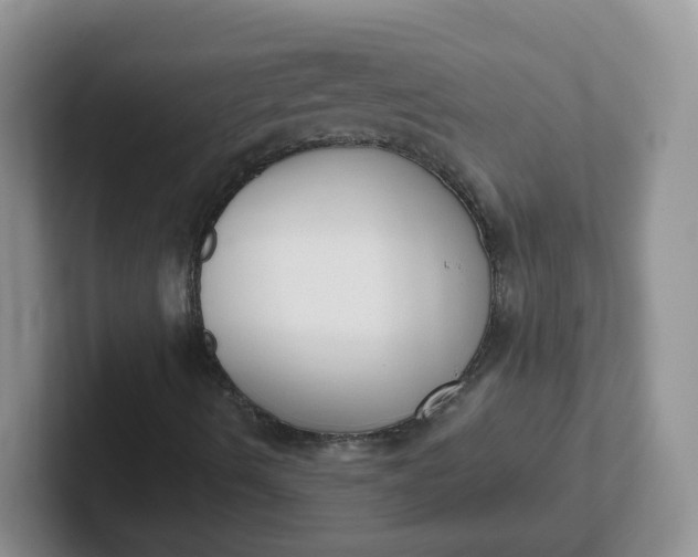 X0000102301490200808081533